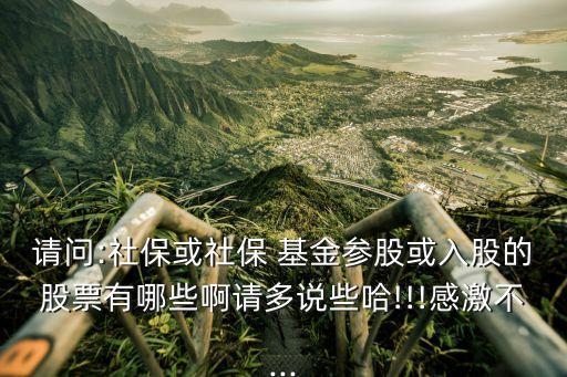 請問:社?；蛏绫?基金參股或入股的股票有哪些啊請多說些哈!!!感激不...