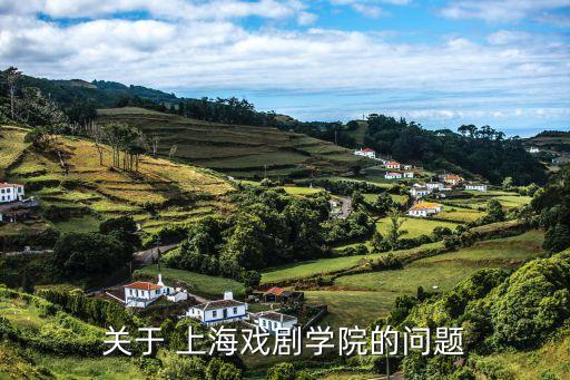 關(guān)于 上海戲劇學院的問題