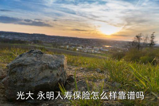  光大 永明人壽保險怎么樣靠譜嗎