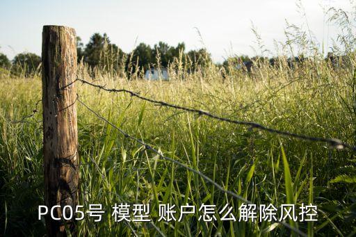 PC05號 模型 賬戶怎么解除風控