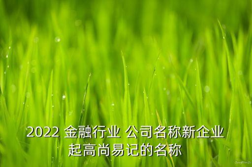 2022 金融行業(yè) 公司名稱(chēng)新企業(yè)起高尚易記的名稱(chēng)