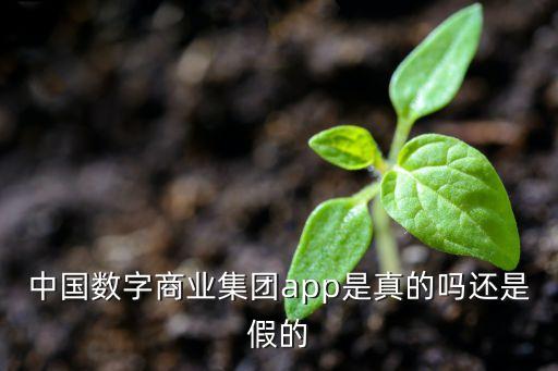 中國(guó)數(shù)字商業(yè)集團(tuán)app是真的嗎還是假的