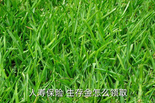  人壽保險 生存金怎么領(lǐng)取