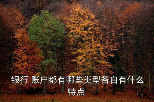 銀行賬戶(hù)模型,DD銀行擠兌模型