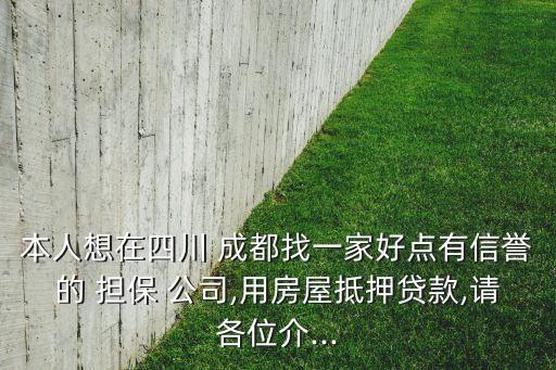 本人想在四川 成都找一家好點有信譽的 擔保 公司,用房屋抵押貸款,請各位介...
