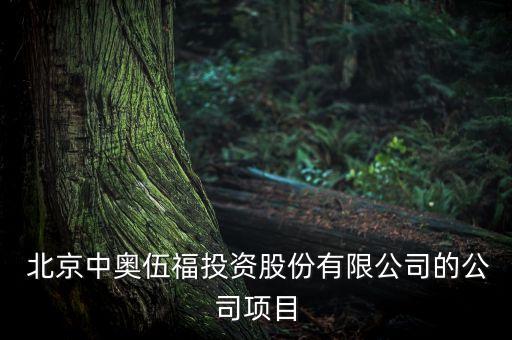  北京中奧伍福投資股份有限公司的公司項(xiàng)目