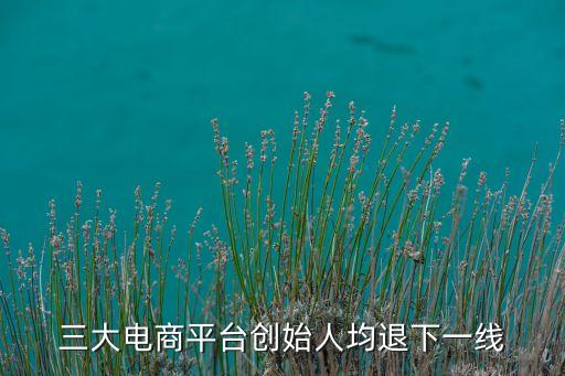 三大電商平臺(tái)創(chuàng)始人均退下一線
