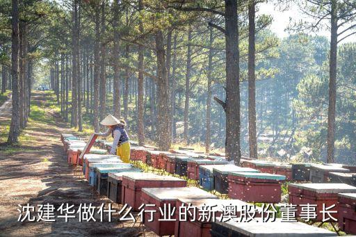 沈建華做什么行業(yè)的新澳股份董事長(zhǎng)