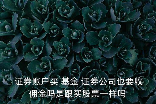 證券帳戶上買貨幣型基金手續(xù)費(fèi),證券賬戶買貨幣基金怎么看收益