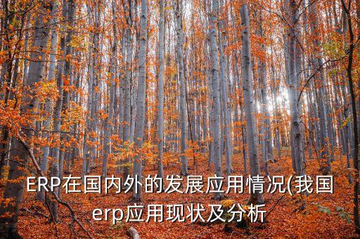 ERP在國內(nèi)外的發(fā)展應(yīng)用情況(我國erp應(yīng)用現(xiàn)狀及分析