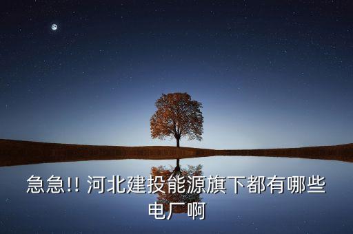河北建設投資集團有限責任公司