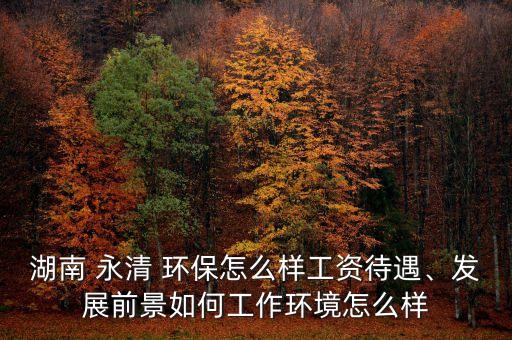 湖南 永清 環(huán)保怎么樣工資待遇、發(fā)展前景如何工作環(huán)境怎么樣