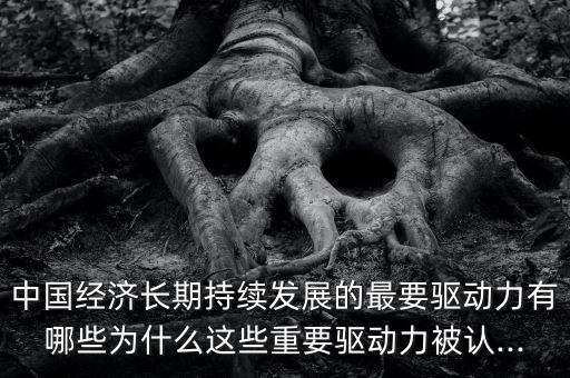 中國經(jīng)濟(jì)長期持續(xù)發(fā)展的最要驅(qū)動力有哪些為什么這些重要驅(qū)動力被認(rèn)...