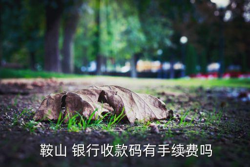  鞍山 銀行收款碼有手續(xù)費(fèi)嗎