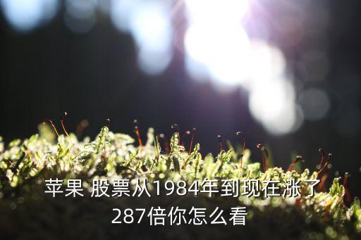 蘋果手機(jī)公司股票股價(jià),蘋果股票2003年股價(jià)