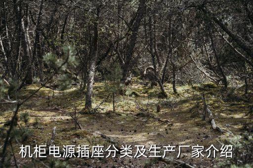 深圳市國電巨龍電氣技術(shù)有限公司