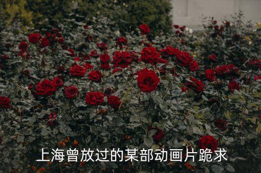  上海曾放過(guò)的某部動(dòng)畫片跪求