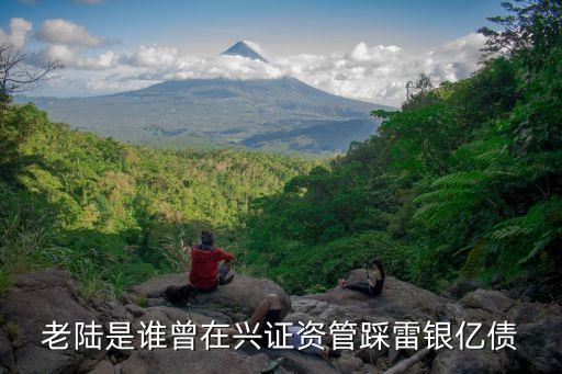 老陸是誰(shuí)曾在興證資管踩雷銀億債