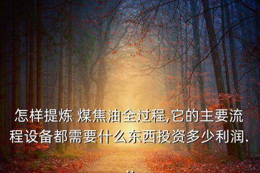 怎樣提煉 煤焦油全過(guò)程,它的主要流程設(shè)備都需要什么東西投資多少利潤(rùn)...