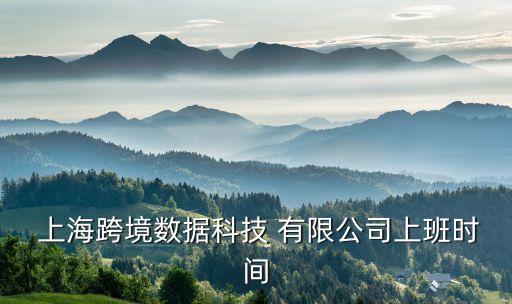  上海跨境數(shù)據(jù)科技 有限公司上班時間