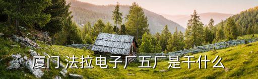 廈門 法拉電子廠五廠是干什么