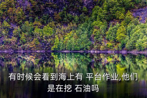 有時候會看到海上有 平臺作業(yè),他們是在挖 石油嗎