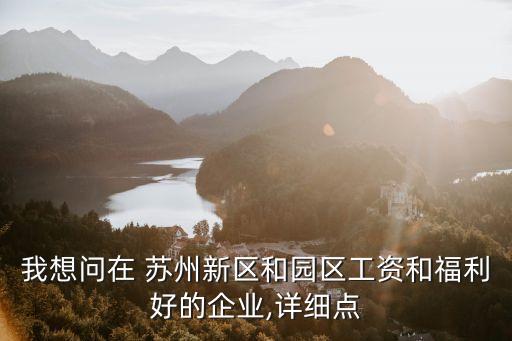 我想問在 蘇州新區(qū)和園區(qū)工資和福利好的企業(yè),詳細點
