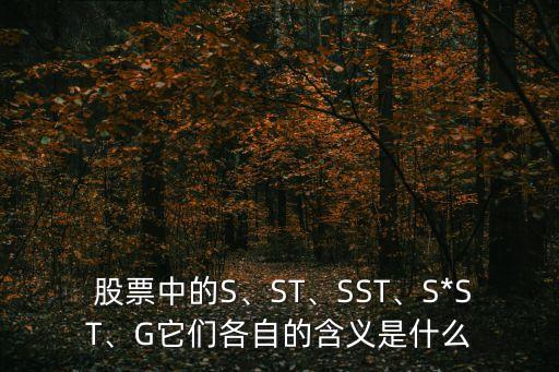  股票中的S、ST、SST、S*ST、G它們各自的含義是什么