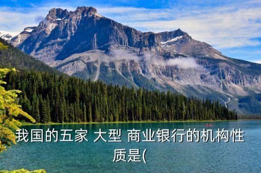 我國的五家 大型 商業(yè)銀行的機構性質是(