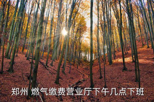 鄭州格瑞克燃氣有限責任公司