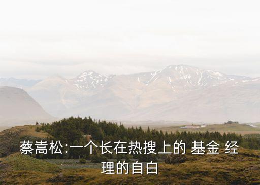 蔡嵩松:一個(gè)長在熱搜上的 基金 經(jīng)理的自白