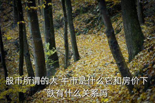 股市所謂的大 牛市是什么它和房價下跌有什么關(guān)系嗎