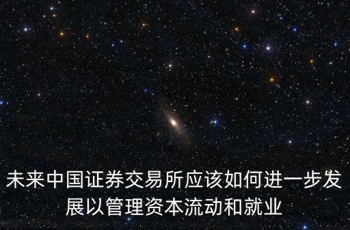 未來(lái)中國(guó)證券交易所應(yīng)該如何進(jìn)一步發(fā)展以管理資本流動(dòng)和就業(yè)