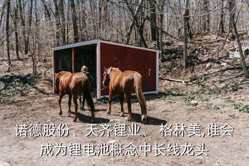 諾德股份、天齊鋰業(yè)、 格林美,誰(shuí)會(huì)成為鋰電池概念中長(zhǎng)線(xiàn)龍頭