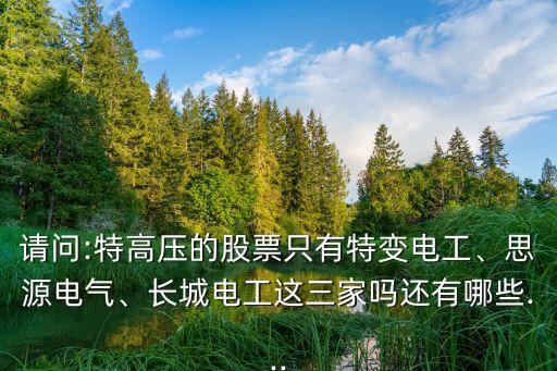 請問:特高壓的股票只有特變電工、思源電氣、長城電工這三家嗎還有哪些...