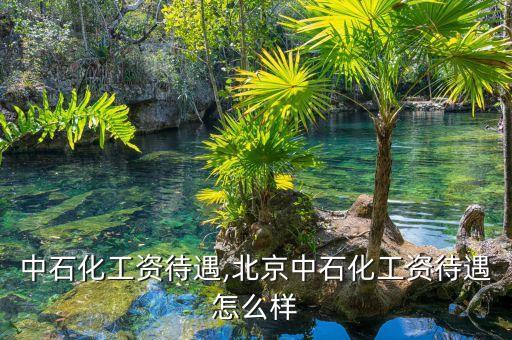 上海中石化工資待遇,北京中石化工資待遇怎么樣