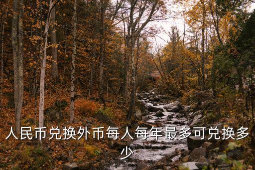人民幣兌換外幣每人每年最多可兌換多少
