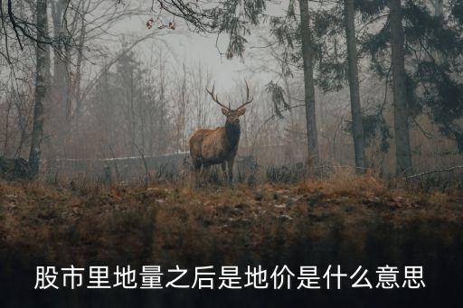 股市里地量之后是地價是什么意思