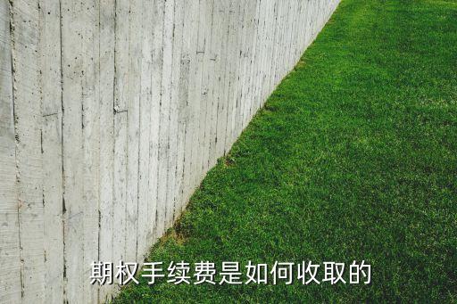 股票期權價值成本不由個人承擔嗎