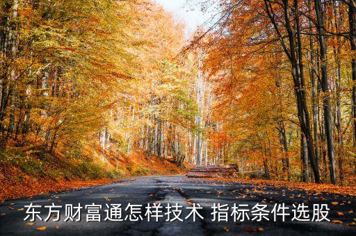 東方財(cái)富通怎樣技術(shù) 指標(biāo)條件選股