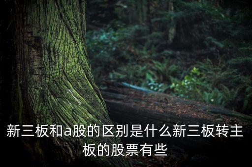 新三板和a股的區(qū)別是什么新三板轉主板的股票有些