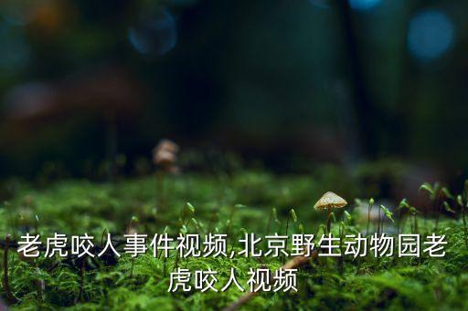 北京老虎咬人事件視頻,北京野生動(dòng)物園老虎咬人視頻