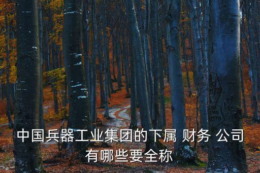 包鋼財務(wù)有限責(zé)任公司,包鋼鋼業(yè)(合肥)有限責(zé)任公司