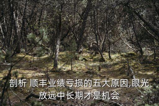 順豐公司財務報表,順豐2021年財務報表