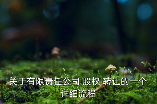 關(guān)于有限責任公司 股權(quán) 轉(zhuǎn)讓的一個詳細流程