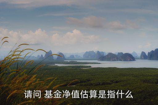 請(qǐng)問 基金凈值估算是指什么