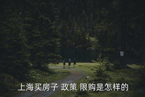  上海買(mǎi)房子 政策 限購(gòu)是怎樣的
