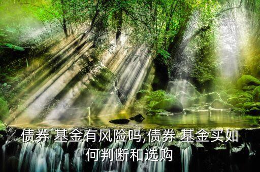 債券 基金有風(fēng)險(xiǎn)嗎,債券 基金買如何判斷和選購(gòu)