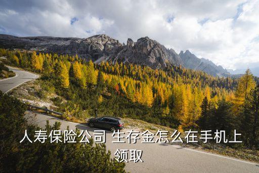 中國(guó)人壽生存金是什么