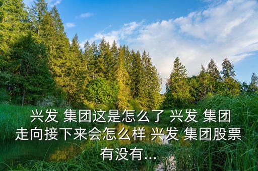  興發(fā) 集團(tuán)這是怎么了 興發(fā) 集團(tuán)走向接下來會怎么樣 興發(fā) 集團(tuán)股票有沒有...